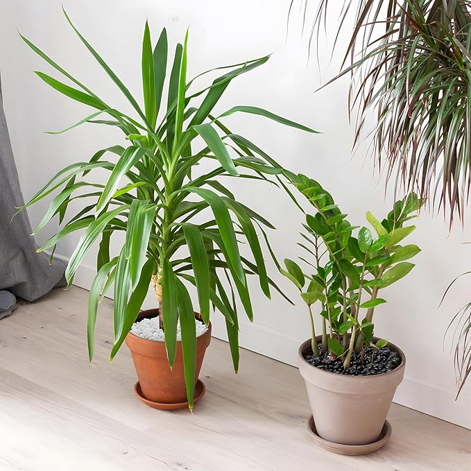 Mr. Fireglass 10 lbs Black Pebbles, 3/8" Natural Decorative Polished River Rocks Aquarium Gravel for Indoor Plants, Vases, Succulents and Outdoor Garden Landscaping