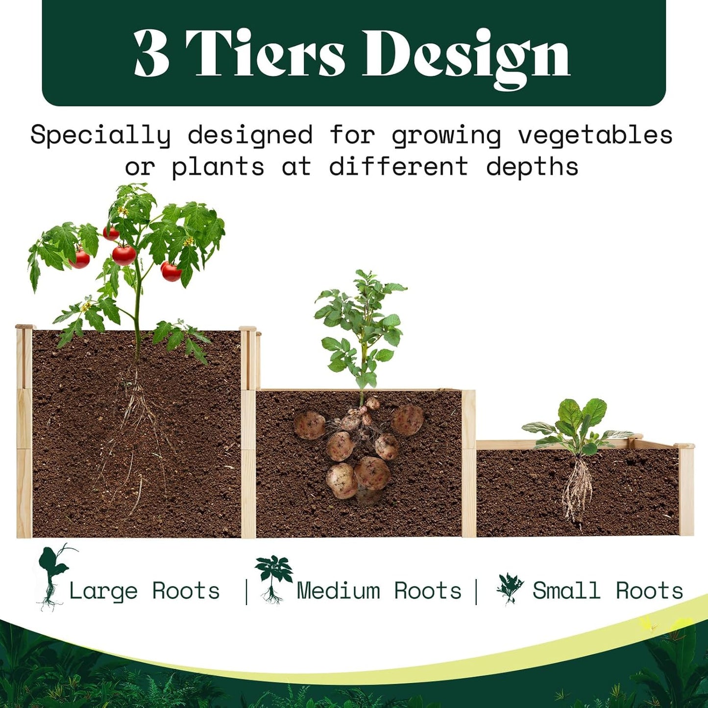 AMERLIFE 3-Tier Raised Garden Bed for Outdoor Gardening, Fir Wood Planter Box with Dividers, Tool-Free Assembly, Garden Box Perfect for Vegetables, Herbs, and Flowers