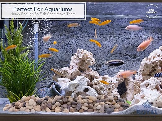 Royal Imports 1LBS River Rocks Decorative Ornamental Pebbles, Garden Landscaping Stones, Gravel Filler for Plants, Vases, Succulents, Home Decor, Aquariums, Crafting, Animal Habitat - Small Natural