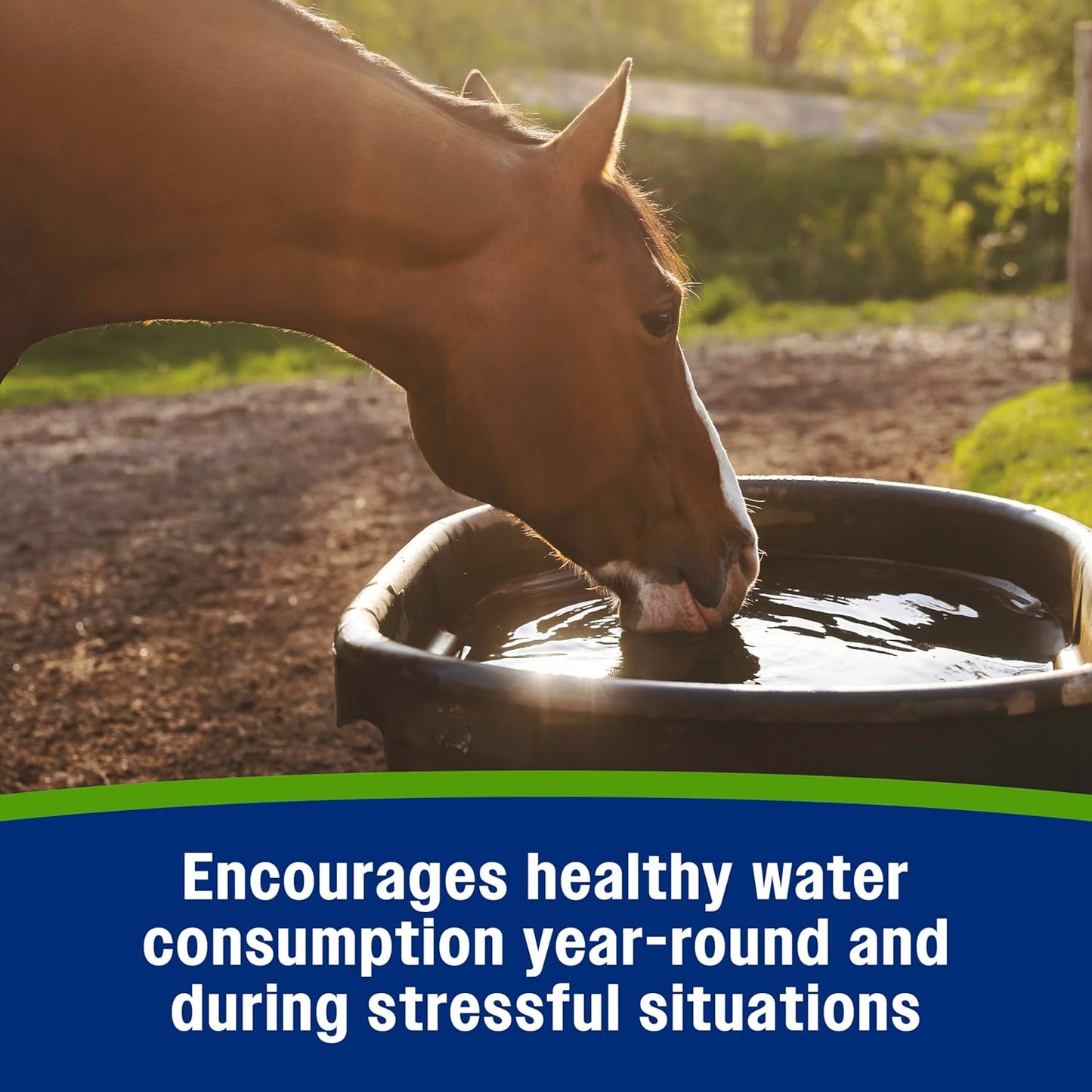 Farnam Apple Elite Electrolyte Supplement for Horses, Replaces Vital Minerals, Encourages Hydration, No Added Sugar, 7.5 lb, 40 Day Supply