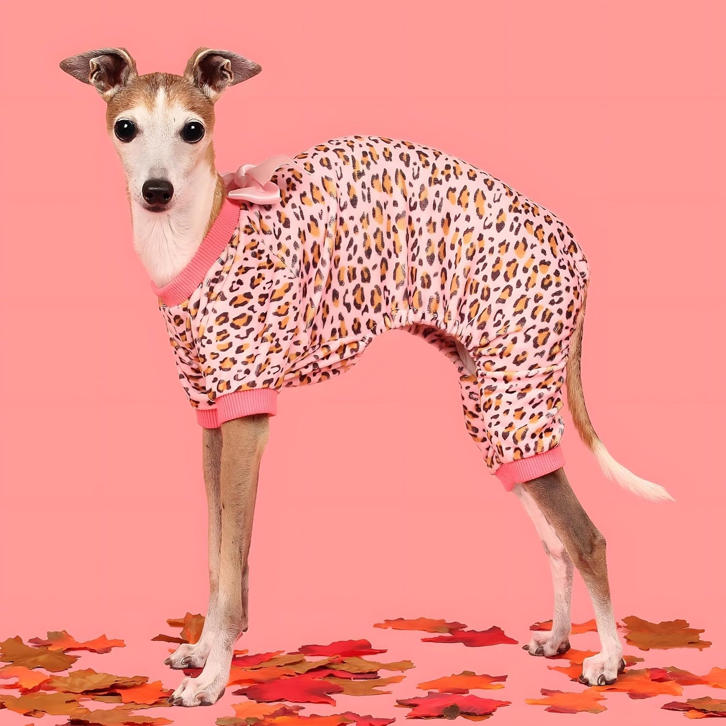 Fitwarm Leopard Dog Pajamas, Fleece Dog Clothes for Small Dogs Girl with Legs, Pet Onesie, Cat Outfit, Pink, Small