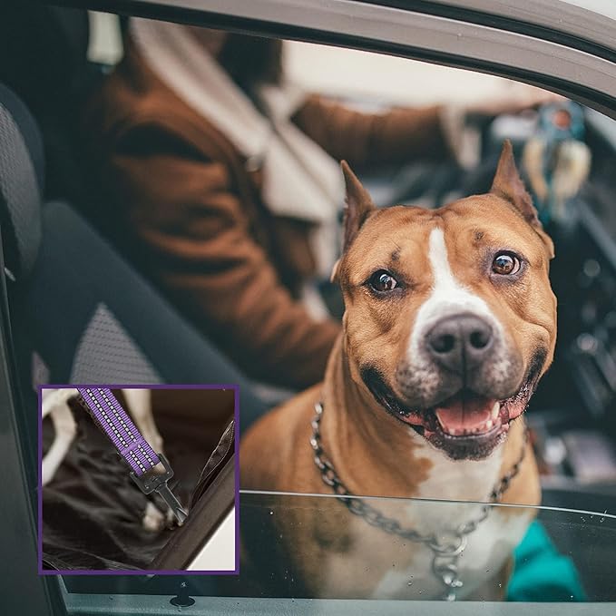 No Pull Dog Harness for Large Dogs, Adjustable No Choke Pet Vest with Dog Leash Fit Smart Reflective Pet Walking Harness for Training Easy Control Soft Handle Purple Camo L