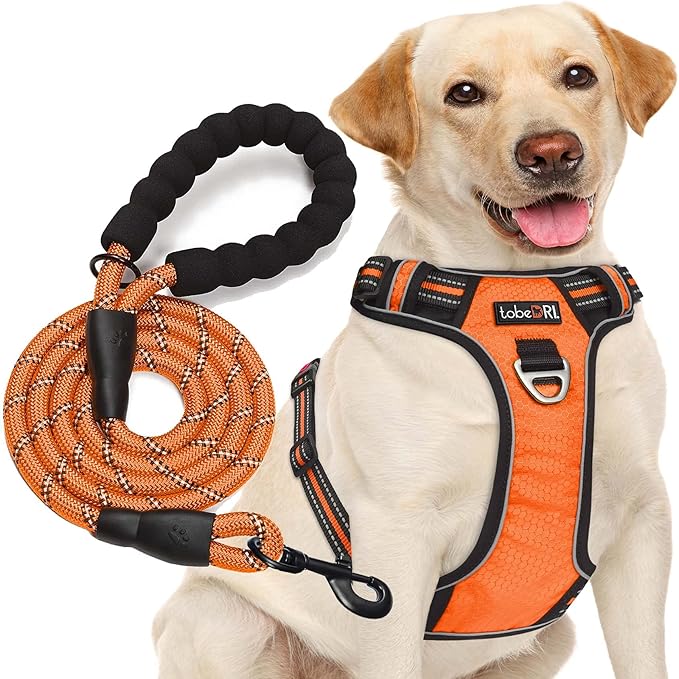 No Pull Dog Harness Adjustable Reflective Oxford Easy Control Medium Large Dog Harness with A Free Heavy Duty 5ft Dog Leash (M (Chest: 22"-26"), Orange Harness+Leash)