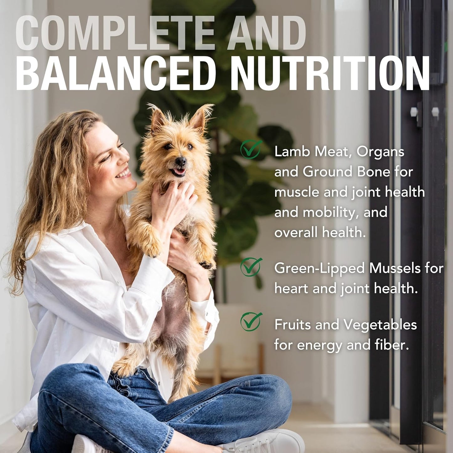 K9 Natural Wet Dog Food Pate, Lamb Feast, 6 Oz Cans (Pack of 12), Grain Free, Made in New Zealand with Grass-Fed, Free-Range Lamb, Single Source, Limited Ingredient