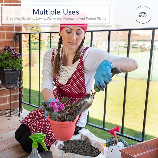 Royal Imports 5LBS River Rocks Decorative Ornamental Pebbles, Garden Landscaping Stones, Natural Gravel Filler for Plants, Vases, Succulents, Home Decor, Arts, Crafting, Animal Habitat - Medium Black