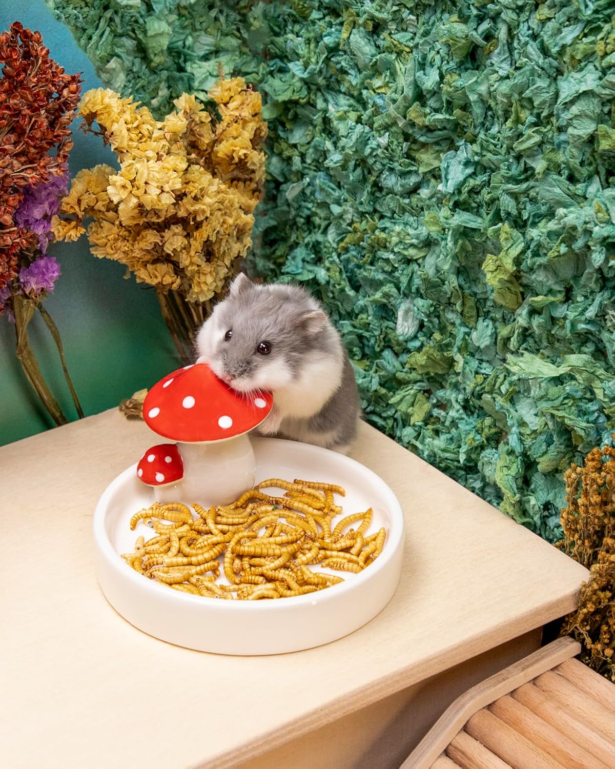 Niteangel Small Animal Snack & Treats Toy - Small Critter Natural Treat for Dwarf Syrian Robo Hamsters Gerbils Mice Lemmings Sugar Glider Hedgehogs Chickens Birds or Other Small-Sized Pets