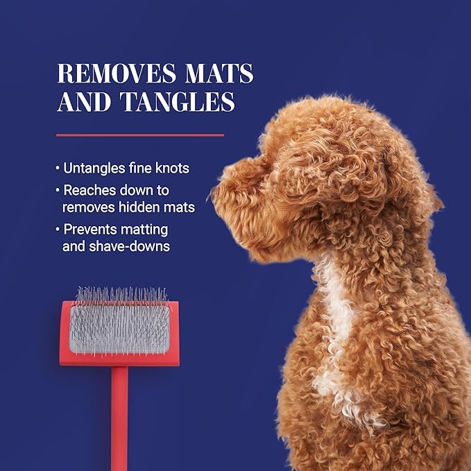 Chris Christensen Big G Dog Slicker Brush for Dogs (Goldendoodles, Labradoodles, Poodles), Groom Like a Professional, Fluff Detangle Style, Saves Time Energy, Coral, Large