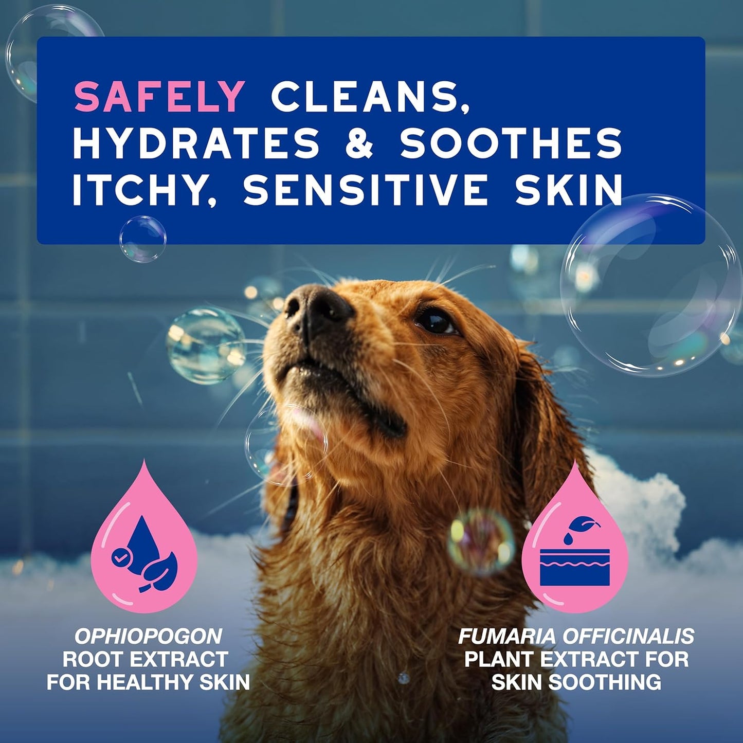 DOUXO® Skin & Coat SPA - Ultra-Safe Sensitive Skin Soothing Shampoo, 16 fl oz, Skin-Friendly Formula Cleans and Soothes, Leaves The Coat Soft and Radiant