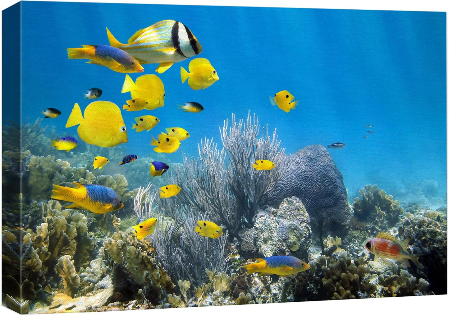 wall26 Canvas Print Wall Art Yellow School of Fish with Blue Coral Reef Nature Ocean Photography Realism Nautical Scenic Relax/Calm Multicolor Ultra for Living Room, Bedroom, Office - 24"x36"