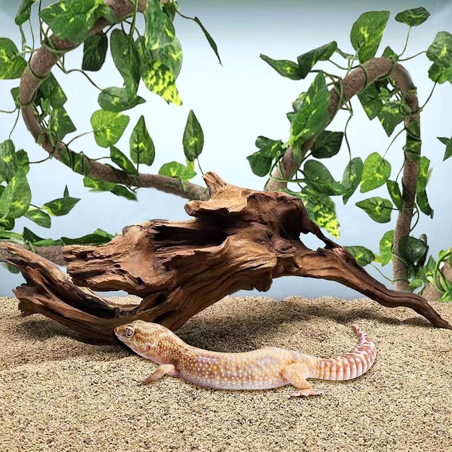 Hamiledyi Reptile Driftwood Decoration Natural Coral Driftwood Branches for Aquarium Reptiles Trunk Log Ornament Bendable Jungle Climbing Vines Decor for Bearded Dragon Lizad Amphibian Fish Tank