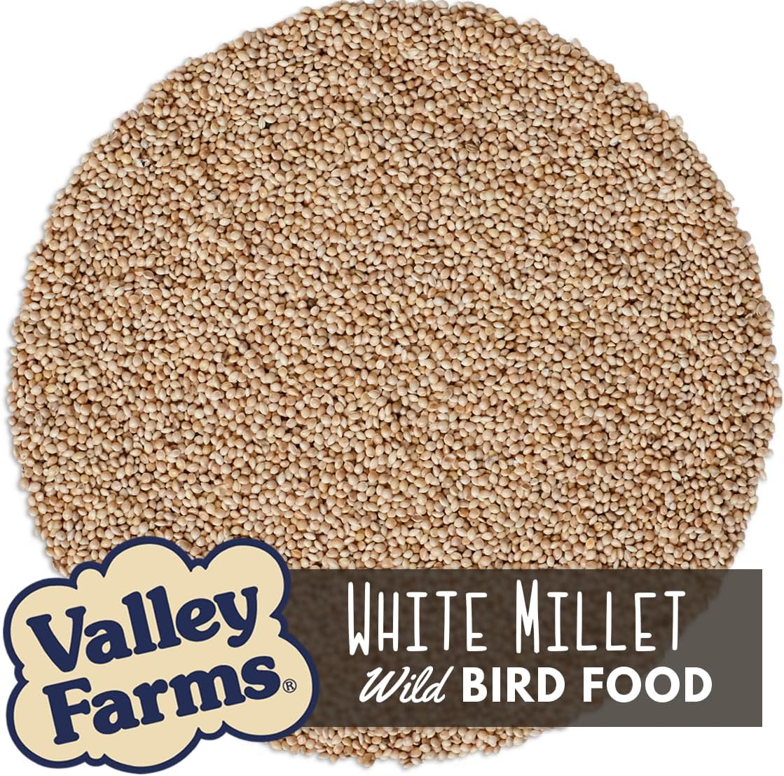 Valley Farms White Millet Wild Bird Seed (20 LB) for Outside feeders, White proso Millet, Bird Watcher Secret Wild Bird Food