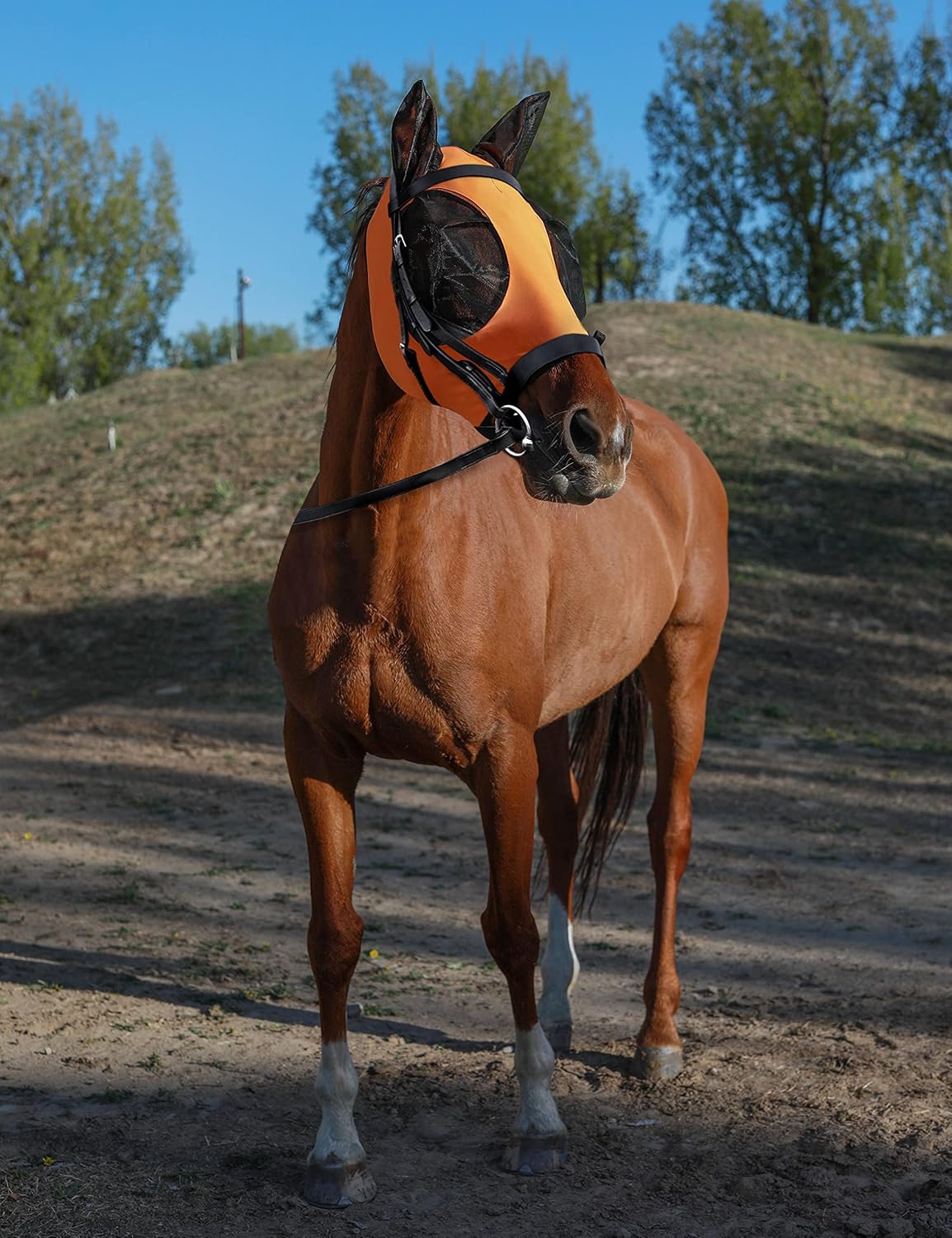 Horse Fly Mask with Ears, UV Protection Mask for Horses, Elasticity Mask with Big Mesh Eye Covers, Snug Fitting Comfortable Lightweight Red Orange Cob