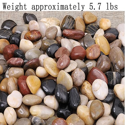 XXYXXY River Stones, Plants, Gardens, Landscapes, Succulents, Highly Polished Decorative Pebbles in Shapes and Sizes from 1-3 inches. (5.7LB, 1)