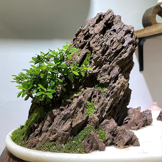 5LB Aquarium Rocks Dragon Stone for Aquariums Landscaping Model Fish Tanks Terrariums Vivariums Model Decoration-2 to 4 Inches