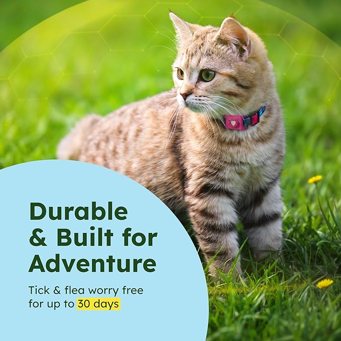 BugMD Paw Guardian Flea & Tick Pendant (2-Pack) with AirTag Holder – Plant-Based Flea & Tick Prevention for Dogs & Cats – Pet Collar Tag & GPS Tracker Holder for Cats & Dogs – Pink