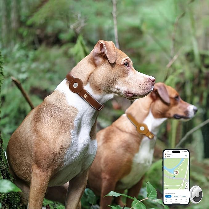 OOPSDOGGY Reflective Geniune Leather Airtag Dog Collar Soft Padded Collars for Small Medium Large Breed Dogs Puppy, 4 Sizes, 7 Colors (Camel, XLarge, 19"-24")