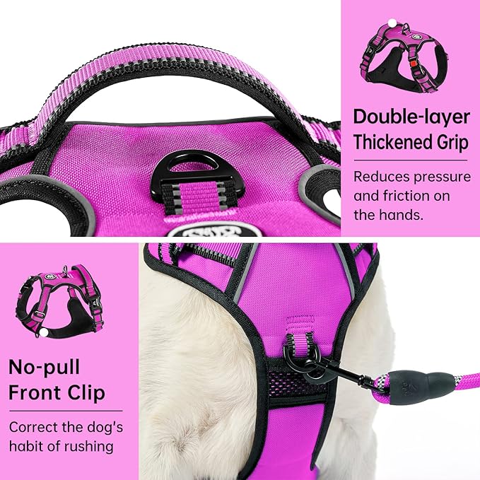 IVY&LANE No Pull Dog Harness for Large Dogs, Dog Vest Harness with Leash, Safety Belt and Storage Strap, Fully Adjustable Harness, 360° Reflective Strip, Soft Handle (Fuchsia Pink, XL)
