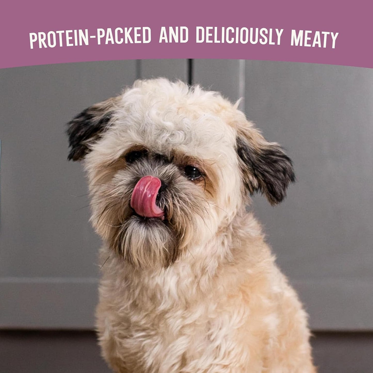 Open Farm, Air Dried Dog Food Infused with Bone Broth, Grain & Legume Free, Complete Meal or Food Topper, Pollock & Lamb Recipe, 1lb Bag