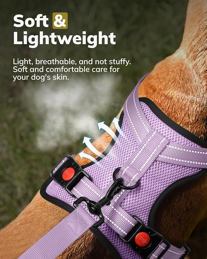 MIDOG No-Pull Dog Harness | Adjustable & Reflective Pet Harness Leash Set for Small Medium Large Dogs Walking, Training| No Choke, Front Clip, Soft Padded Vest with Easy Control Handle - Purple, XL