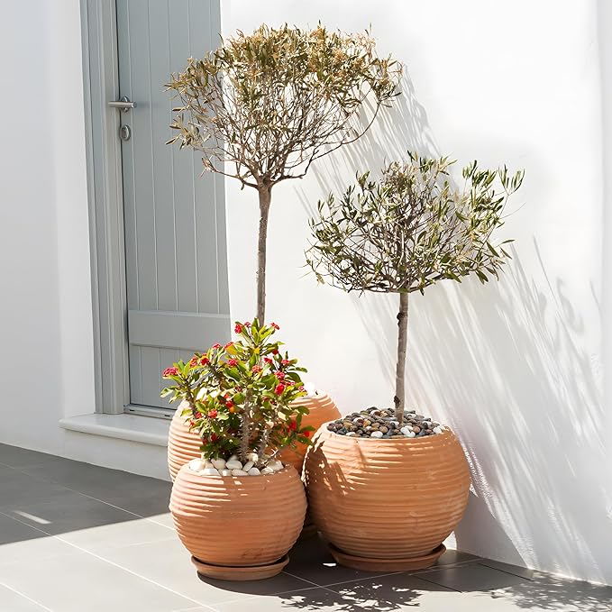 Mr. Fireglass Polished Pebbles, 3/8" Natural Decorative Mixed Color Stones Aquarium Gravel River Rocks for Potted Plants, Landscaping and Home Decor (10-lb Bag)