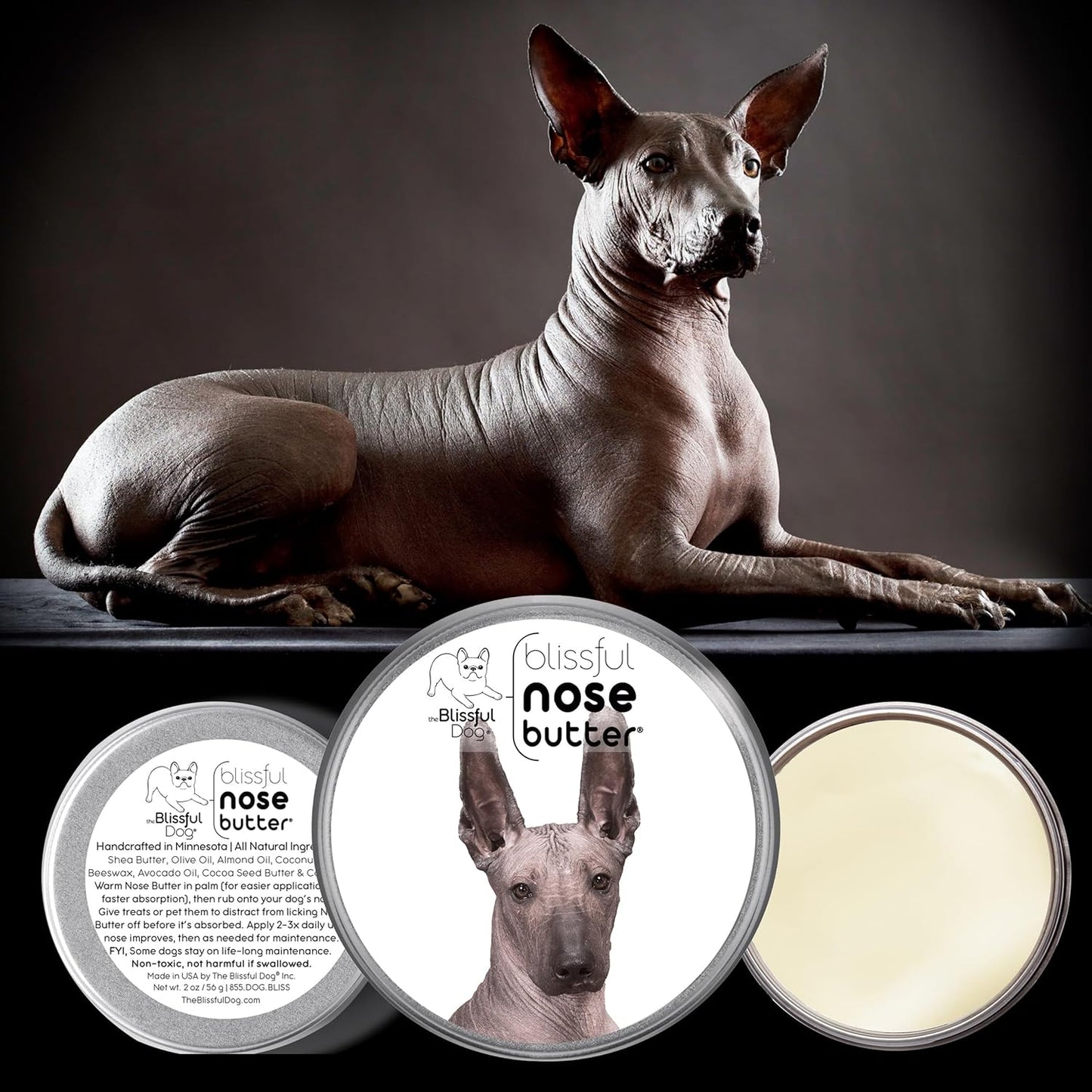 The Blissful Dog Xoloitzcuintli Nose Butter for Dry, Cracked Skin, Lick-Safe Dog Nose Balm with Moisturizing Shea Butter, Almond, Olive, and Essential Oils, Pet Supplies, Uncented, 1 oz.
