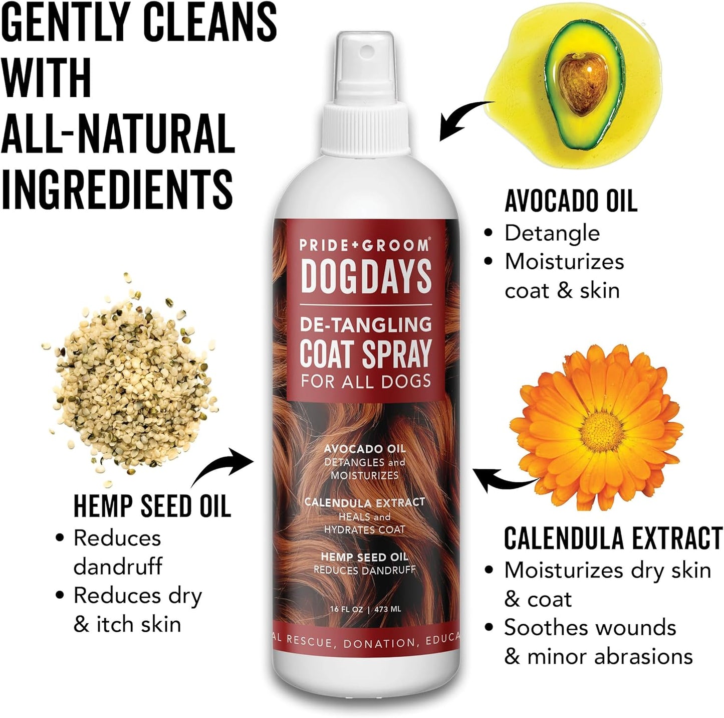 Pride and Groom DogDays Detangling Coat Spray for All Dogs | Conditioner & Detangler Spray for Shiny, Tangle-Free Fur | Hydrating & Repairing Formula with Fresh Scent | Made in USA – 16 fl oz