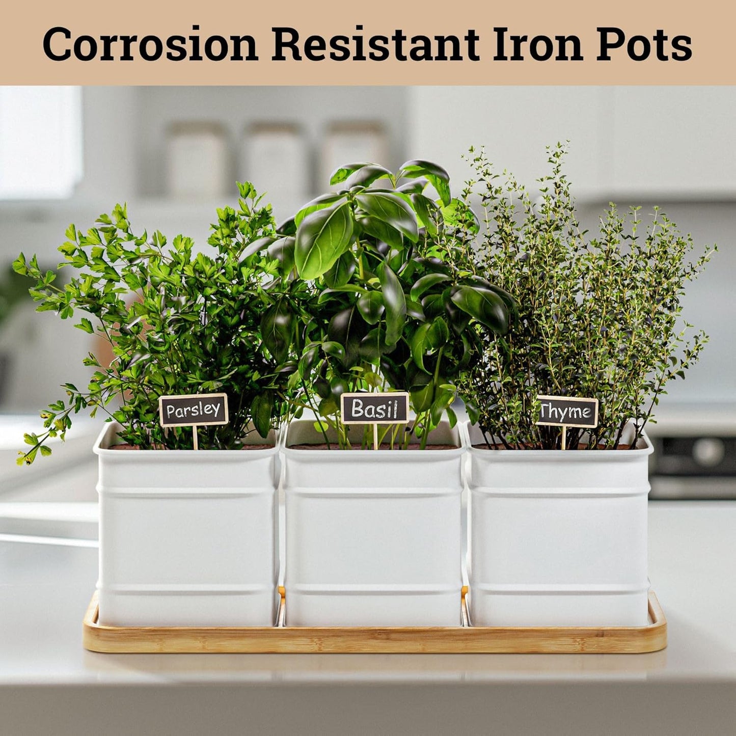 Herb Planter Indoor - 3 Iron Herb Pots with Drainage Holes, Varnished Bamboo Tray, Customizable Labels & Marker Pen - Indoor Herb Garden Planter - 3 Pots for Herbs - Inside Spice Garden - Basil Pot