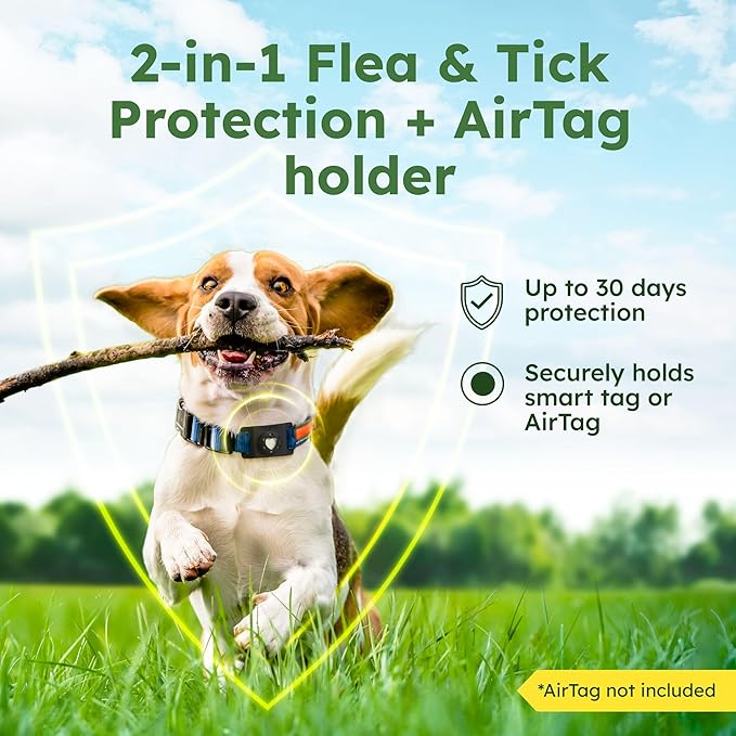 BugMD Paw Guardian Flea and Tick Prevention Pendant for Dogs & Cats with AirTag Holder | Plant-Powered Flea & Tick Control for Dog Collars & Cat Harnesses | Cat and Dog Tag with Air Tag Holder - BLACK