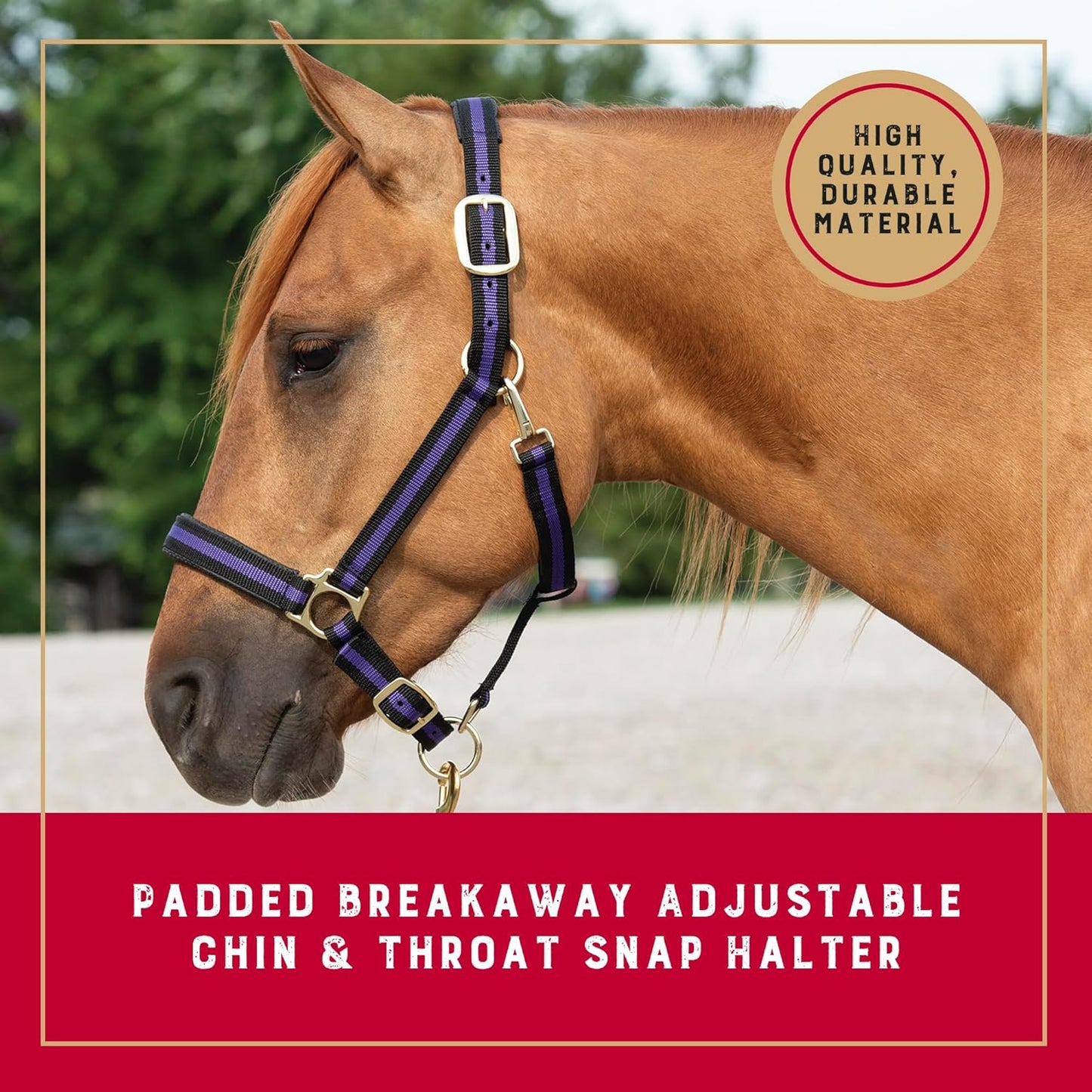 Weaver Equine Breakaway Horse Halter, Comfort Foam Padding, Adjustable Chin & Throat Snap Halters for Horses, Equine Tack,Average Size