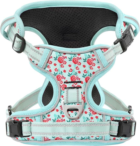 Timos Dog Harness, 3 Snap Buckles No-Pull Soft Padded Dog Vest with 2 Metal Leash Clips,Adjustable Reflective No Choke Pet Harness with Easy Control Handle for Small Dogs,Cyan,S