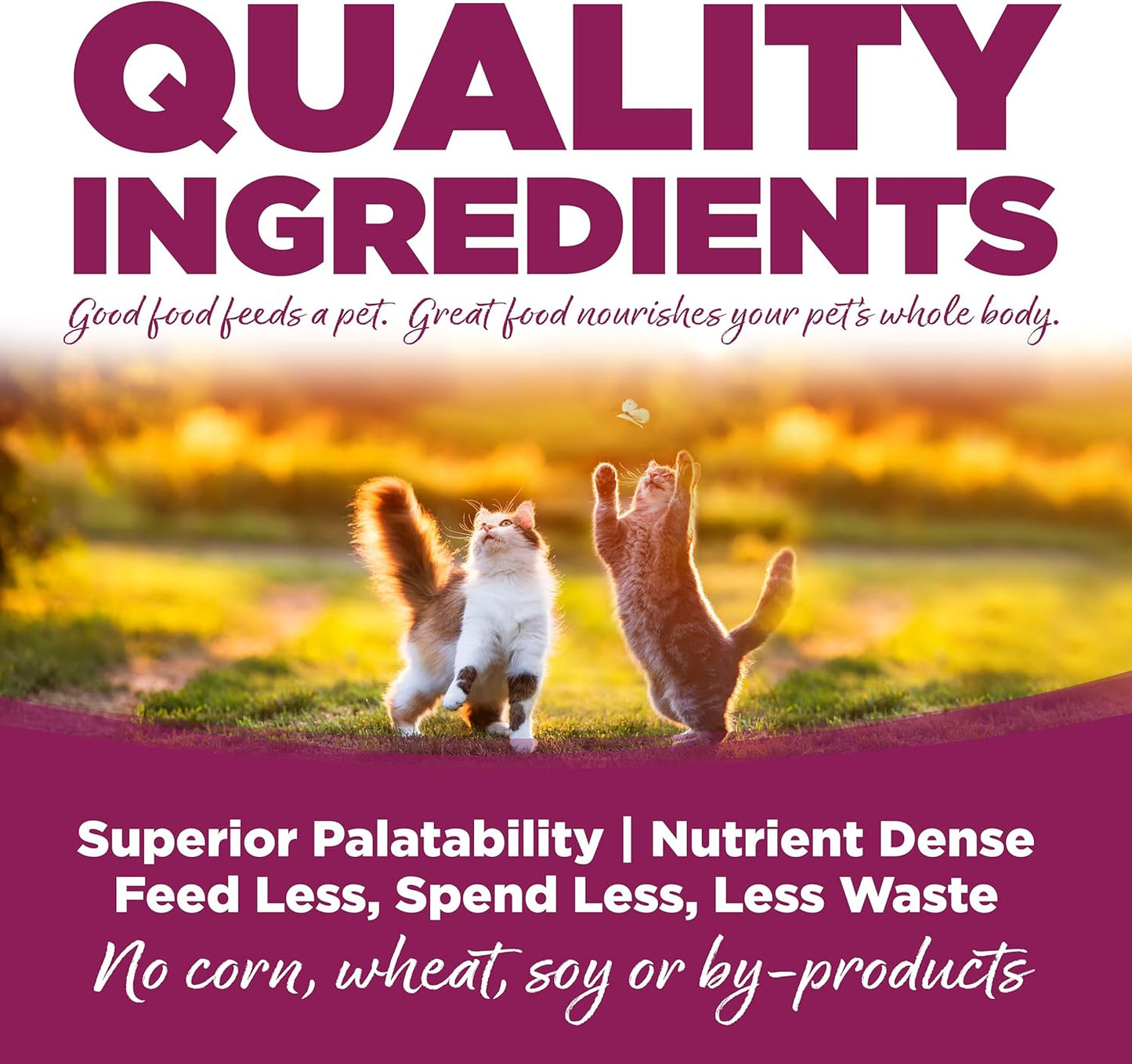 NutriSource Cat & Kitten Food, Chicken & Rice, 12LB