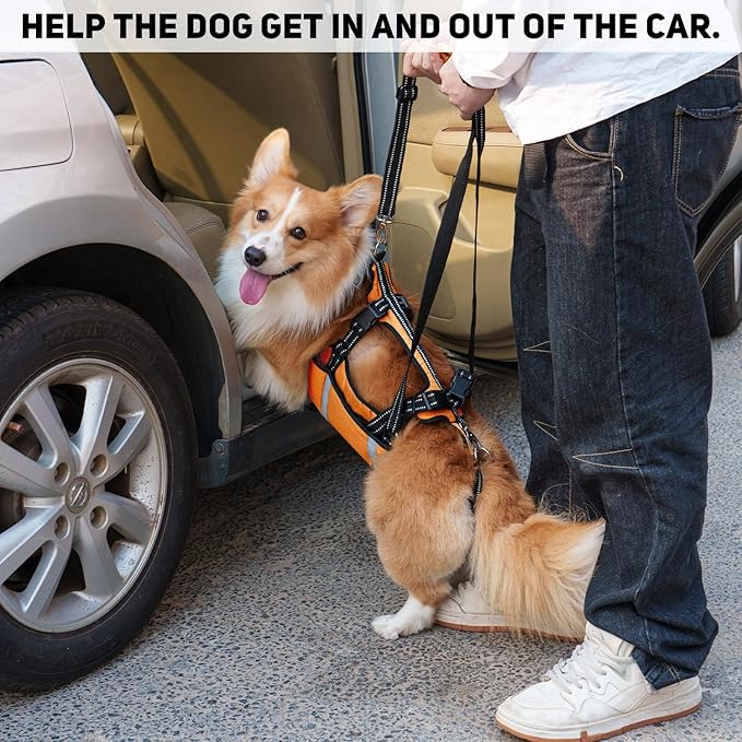 COODEO Mobility Dog Lift Harness, Emergency Carry Sling, Pet Rear Leg Support Rehabilitation Lifts Vest, Dog Carrier for Senior Dogs Joint Injuries, Arthritis (Orange, L)