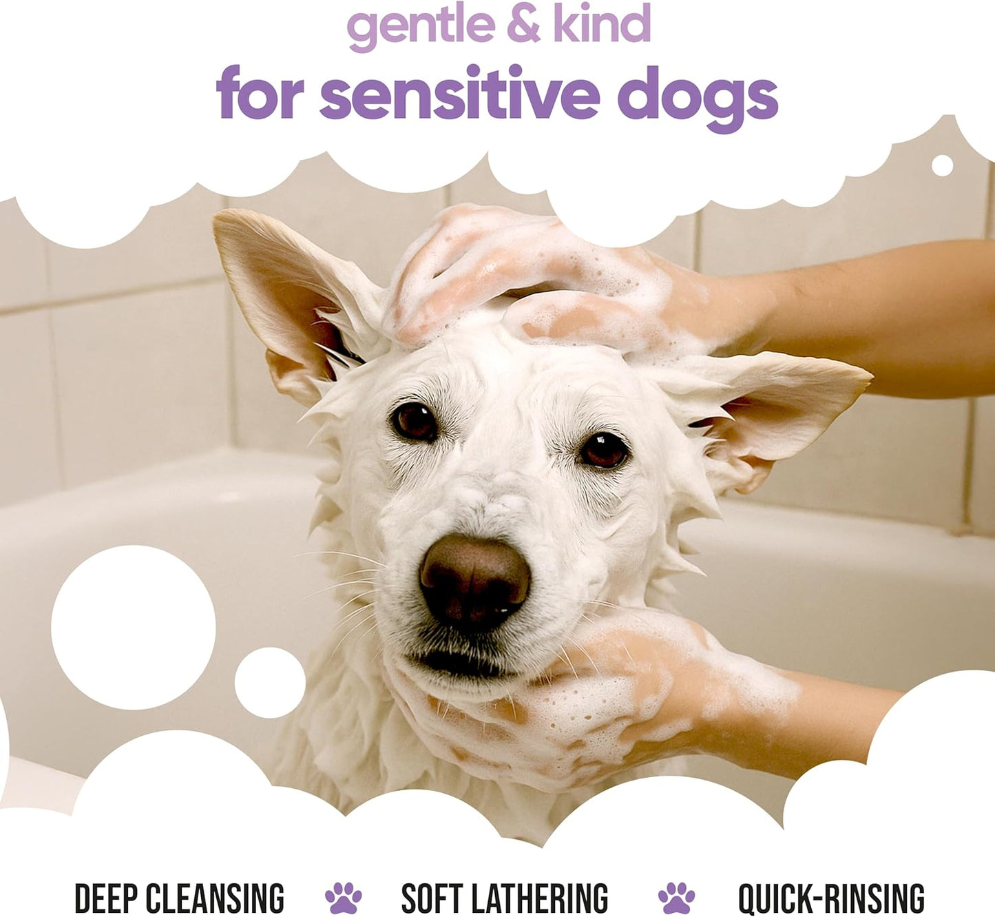 White Dog Shampoo by Buddycare (33.8oz) | Brightening and Whitening Shampoo for Dogs | Deep Cleansing, Fresh Scented | with Aloe Vera and Pro Vitamin B5