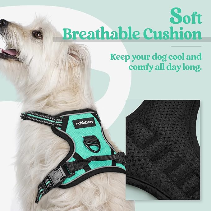 rabbitgoo Dog Harness No Pull with 2 Leash Clips, Adjustable Soft Padded, Reflective Oxford No Choke Pet Vest with Easy Control Handle for Puppy, Turquoise, XS
