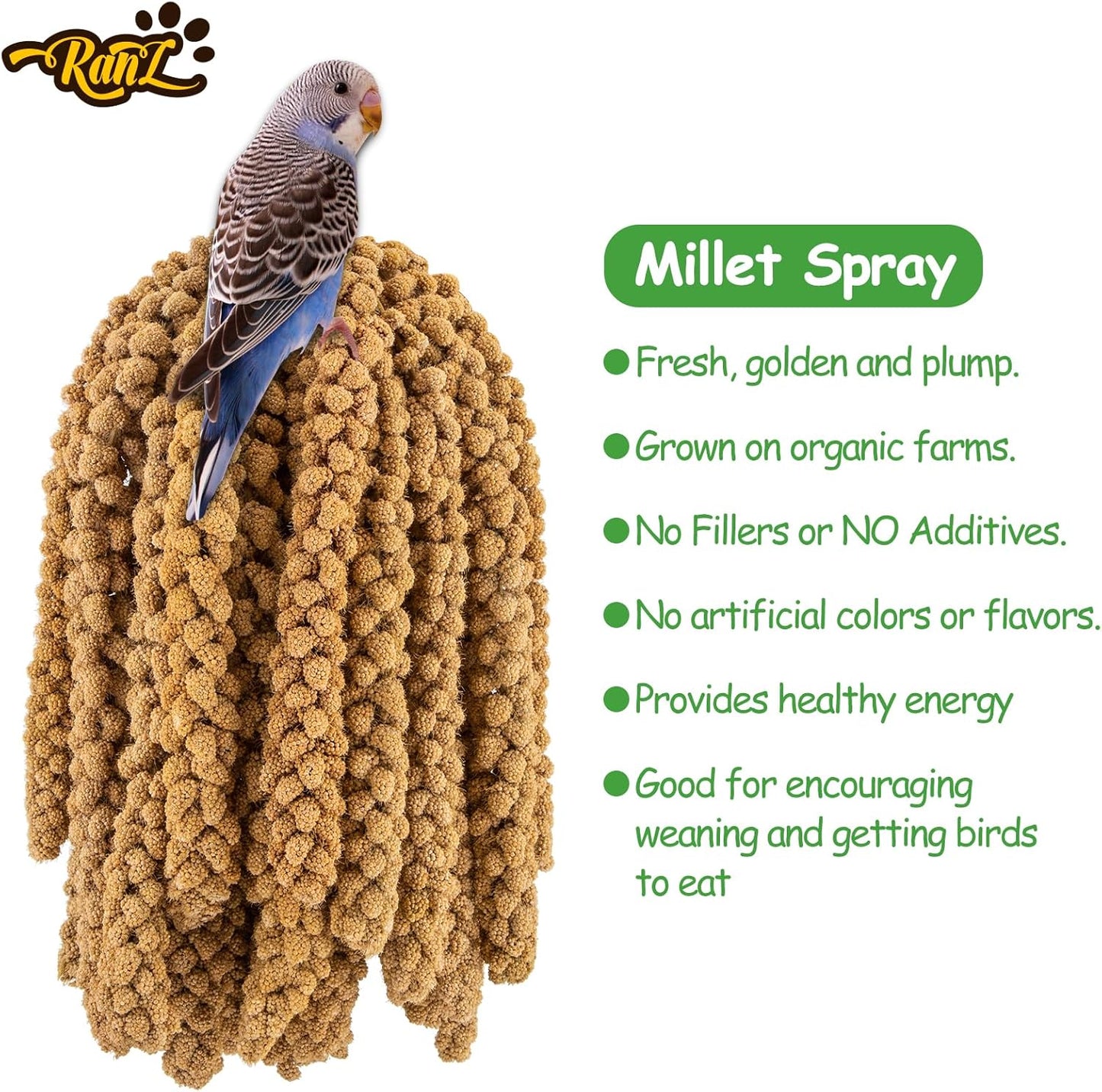 RANZ 5LBS Millet Spray for Birds, GMO-Free, Sun Dried Spray Millet, Original Bird Treats & Supplement for Parrots, Cockatiels, Lovebirds, Painted Buntings and Finches, Parakeets Food
