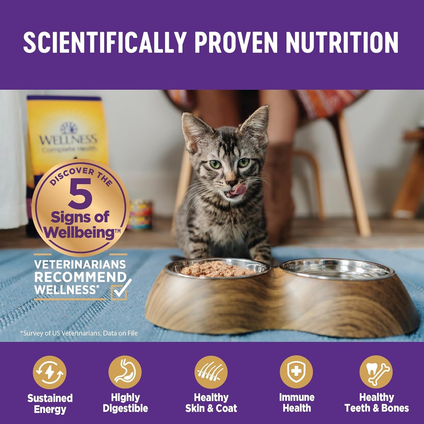 Wellness Complete Health Pate Kitten Wet Cat Food, Natural, Protein-Rich, Grain Free, 3 Ounce, 24 Pack, (Chicken)