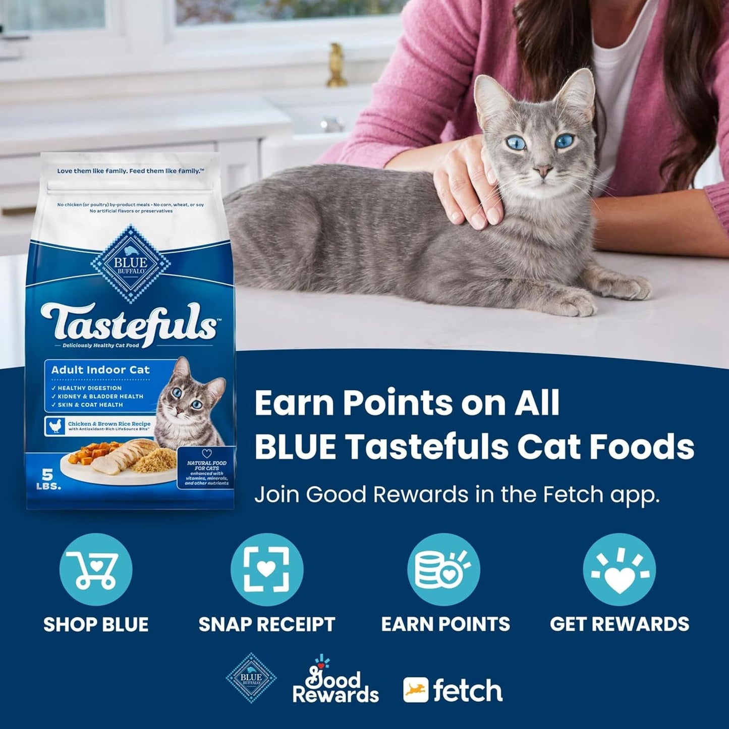 Blue Buffalo Tastefuls Indoor Natural Adult Dry Cat Food, Salmon & Brown Rice 10lb Bag