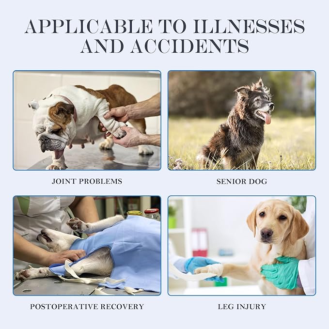 Dog Lift Harness, Full Body Dog Lift Harness, with Adjustable, Control Handle, for Senior Dogs, Post Surgery Recovery, Dogs with Joint Problems, Oxford Cloth L