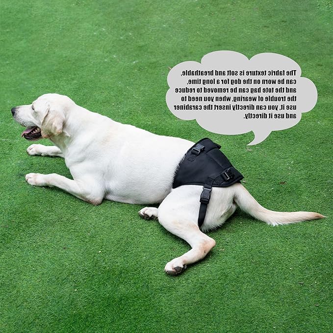 Dog Lift Harness for Dogs with Disabled Arthritis and Weak Back Legs, humanized Design with Comfortable Materials, Adjustable Back Legs and Straps, Suitable for Helping Dogs to Recover and Walk. (M)
