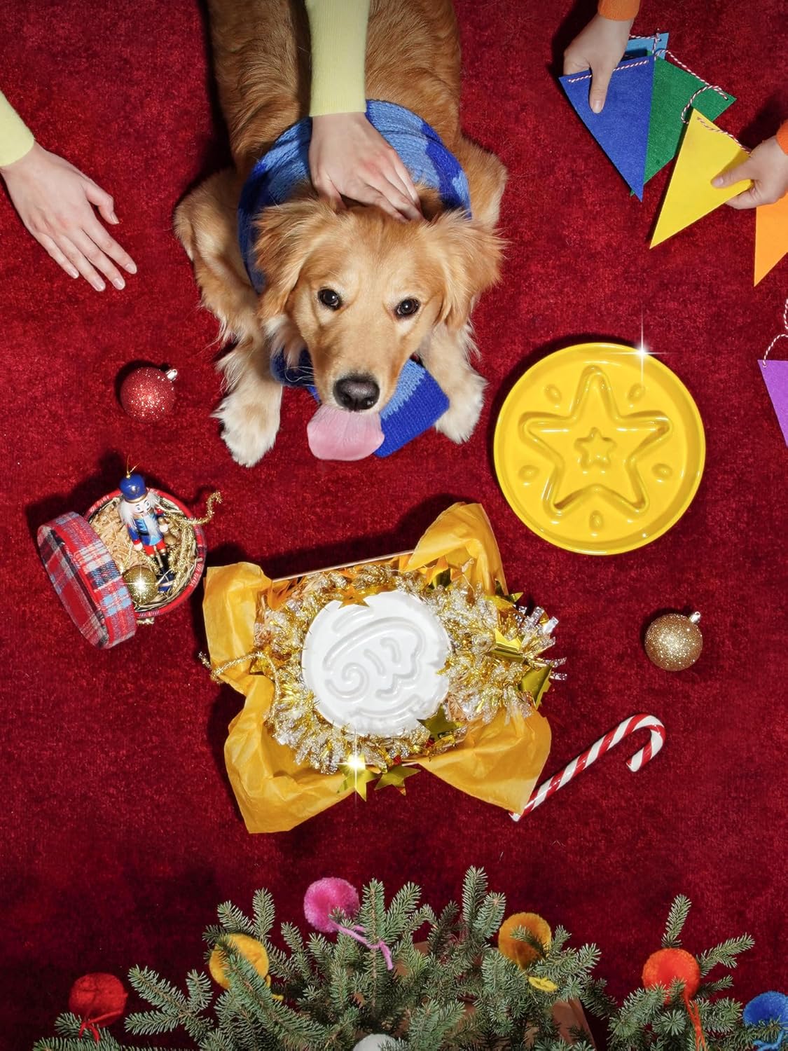 LE TAUCI Ceramic Slow Feeder Dog Bowls Small Breed, 0.6 Cups Dog Food Dish for Fast Eaters, Puzzle Bowl for Small Dogs and Cats,Angle White