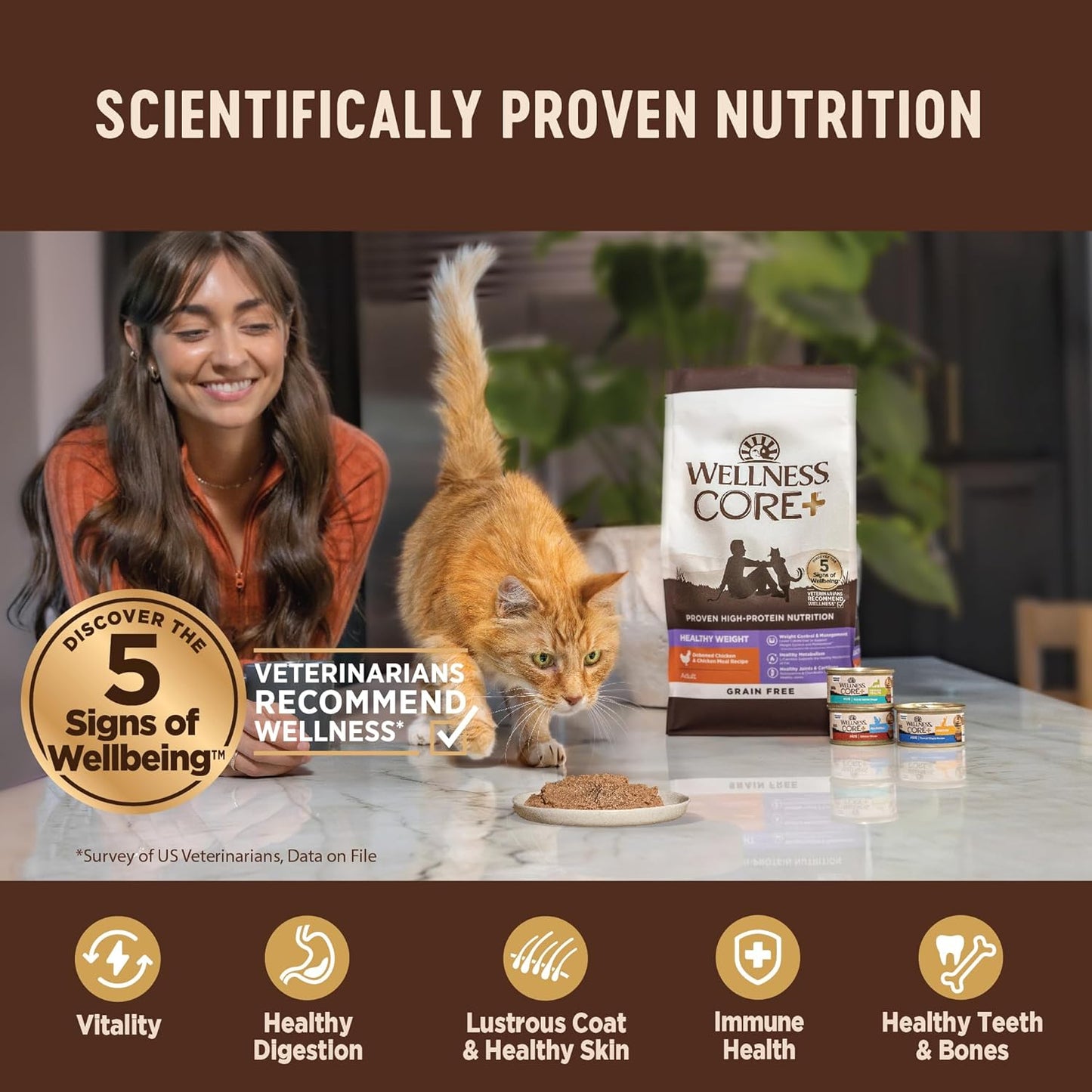 Wellness CORE+ Immune Health Pate Adult Wet Cat Food, Natural, Protein-Rich, Grain Free, 2.8 Ounce, 12 Pack (Chicken & Turkey)