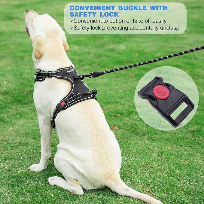No Pull Dog Harness Adjustable Reflective Oxford Easy Control Medium Large Dog Harness with A Free Heavy Duty 5ft Dog Leash (L (Chest: 25.5"-31"), Black Harness+Leash)