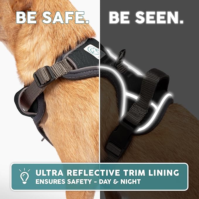 Embark Adventure Dog Harness, Reflective Trim No Pull Dog Harnesses for Small Sized Dogs - Military Grade Nylon, Front Clip with Gel Lined Handle. Soft & Padded Puppy Harnesses.