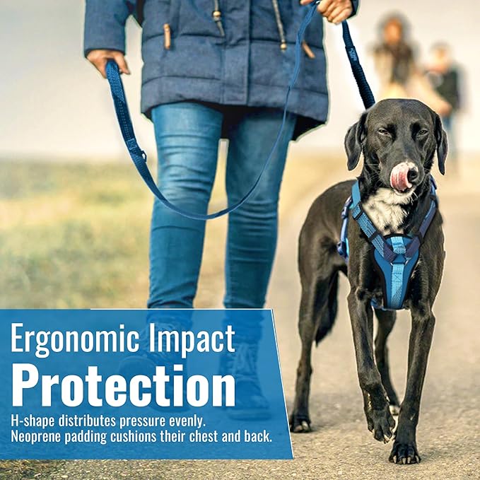 No-Pull Dog Harness with Handle - Escape Proof, Anti-Pulling, Grip Control, Multi-Angle Reflective for Safe Walks & Training, Easy On & Off, Metal Buckle–Pet Harness, Medium/Large Dogs- H3- Blue