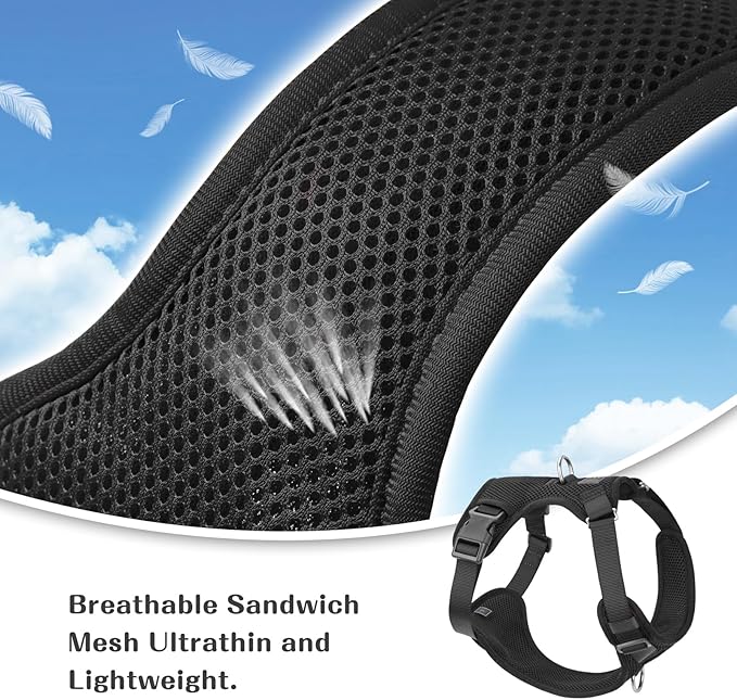 No Pull Dog Harness for Small Medium Large Dogs - Adjustable Two-Layer Mesh Dog Vest with Dual Clip, Escape Proof, Quick Release, Lightweight Breathable Mesh for Walking Hiking (Black,XL)