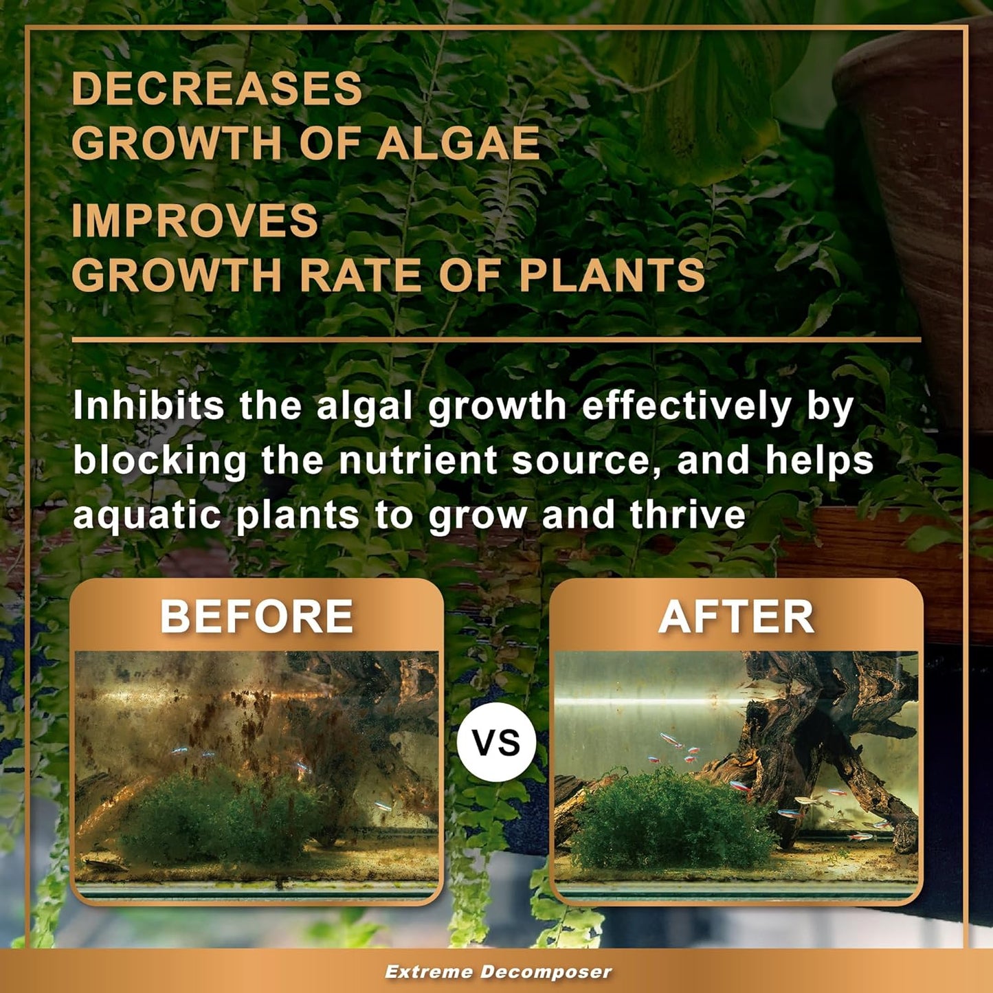 AZOOPLUS BIO XD Extreme Decomposer Nitrifying Bacteria for Freshwater and Saltwater Fish Tank 8.45 Ounces