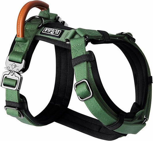 MADE TO ROAM Premium Explorer Harness - Y-Shaped Dog Harness with Adjustable Durable Nylon, Soft Padding, Metal Buckles and Leather Handle for Small, Medium, Large Dogs (Oregon Haze, Size 6)