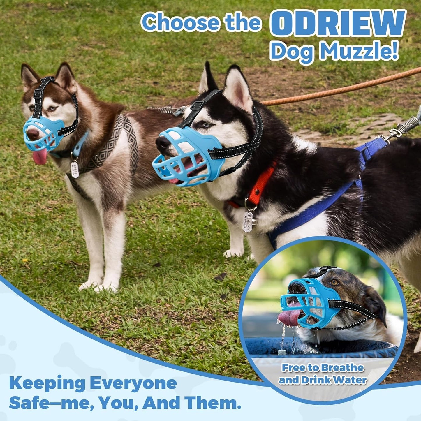 Dog Muzzle for Large Dogs, Breathable Basket Muzzles for Small, Medium and X-Large Aggressive Dog, Allows Panting Drinking, Suitable for Grooming Trimming Training (2, Luminous Blue)