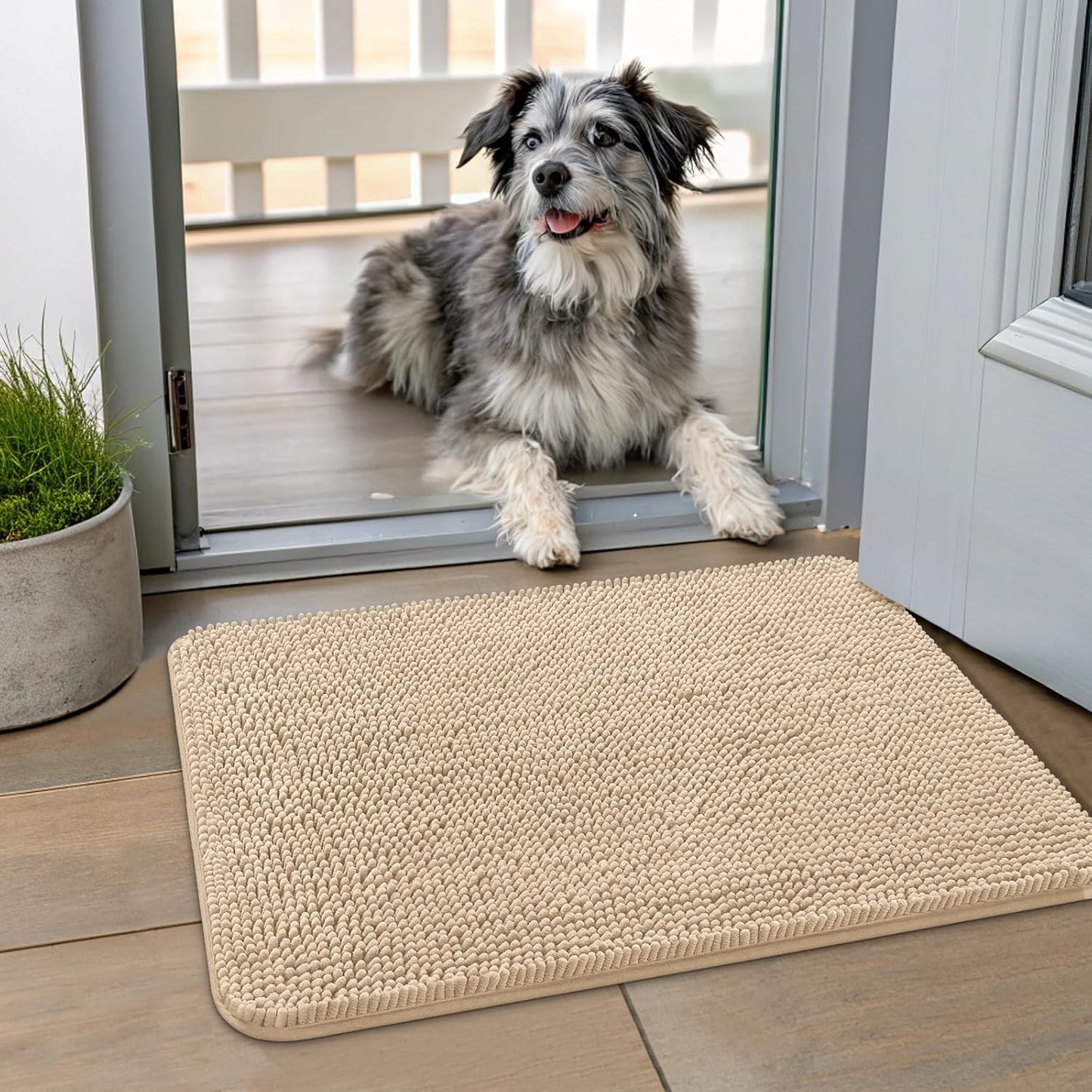 Smiry Dog Door Mat for Muddy Paws 24x16, Absorbs Moisture and Dirt Doormat, Non-Slip Washable Quick Dry Chenille Front Door Mat Indoor Entrance, Entryway Carpet for Inside Floor, Beige