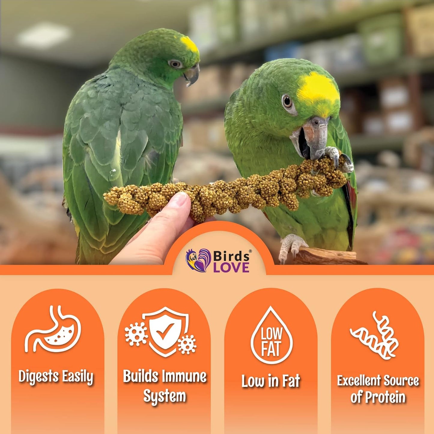 Birds LOVE Wholesome & Lovely Spray Millet Non-GMO for Birds Cockatiel Lovebird Parakeet Finch Canary All Parrots Healthy Treat - 2LBS